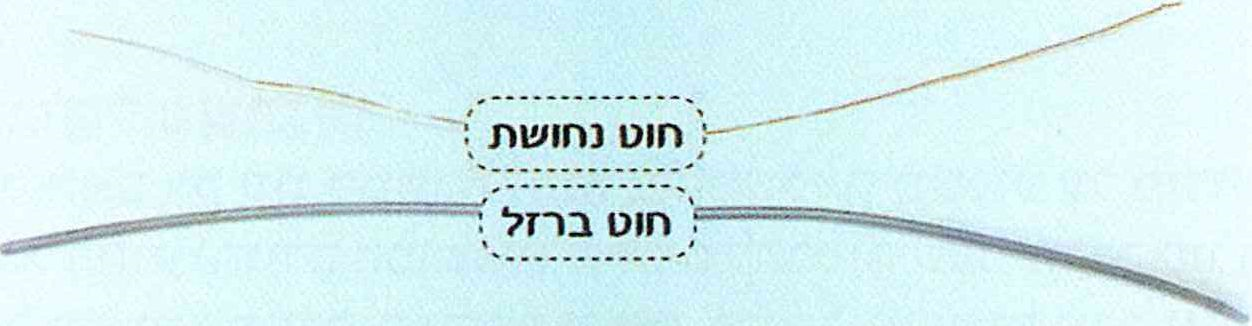 (בספר איור - היעזר במורה)